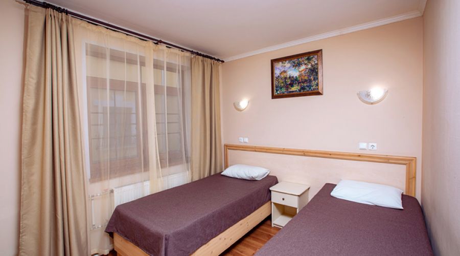 Стандарт 2-местный с диваном