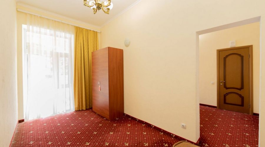 Стандартный плюс 2-местный 1-комнатный