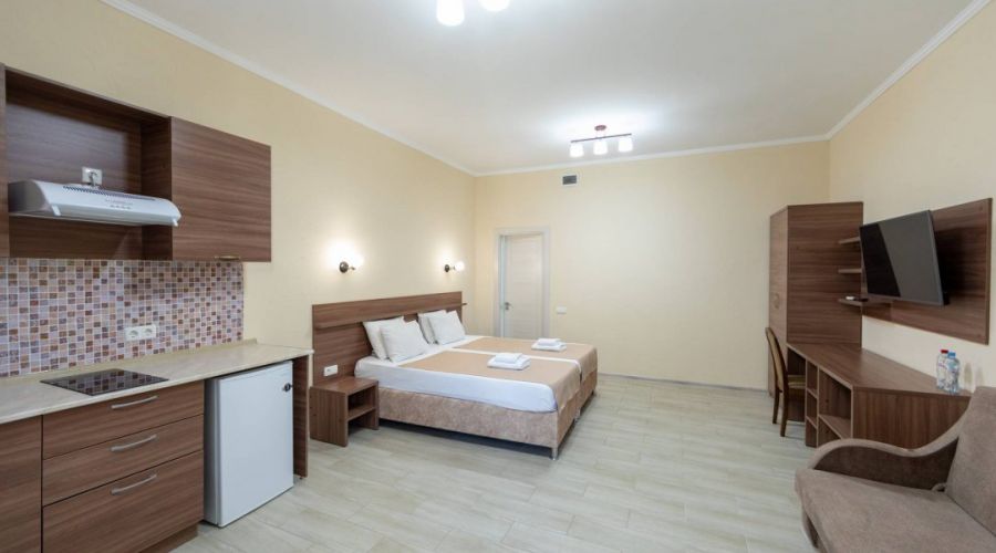 Стандартный плюс 2-местный 1-комнатный