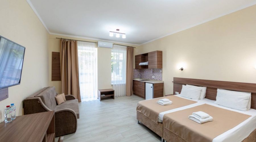 Стандартный плюс 2-местный 1-комнатный