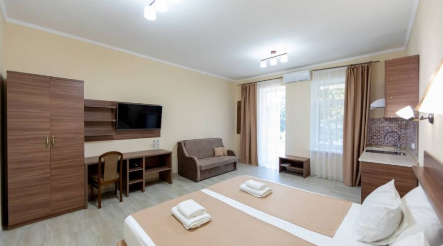 Стандартный плюс 2-местный 1-комнатный