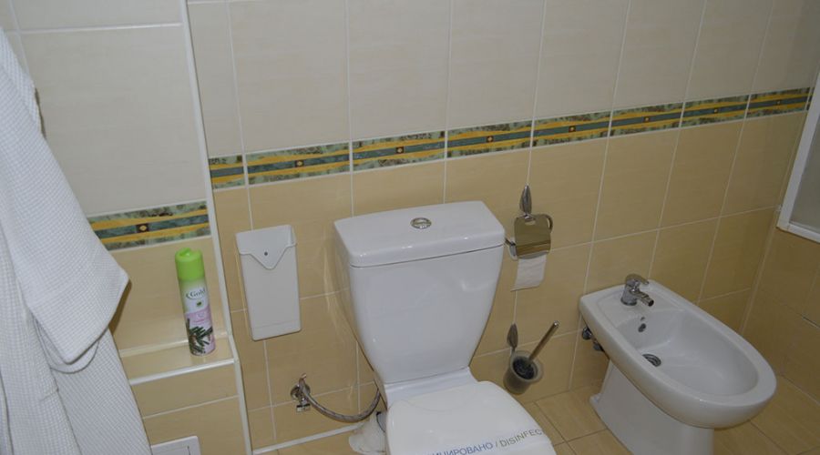 Люкс 2-местный А 2-комнатный