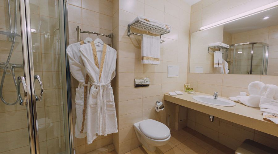 Полулюкс 2-местный Праздничный