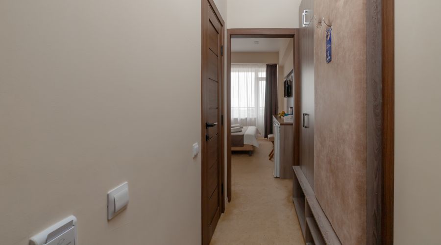 Стандартный премиум 2-местный 1-комнатный