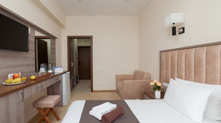 Стандартный премиум 2-местный 1-комнатный