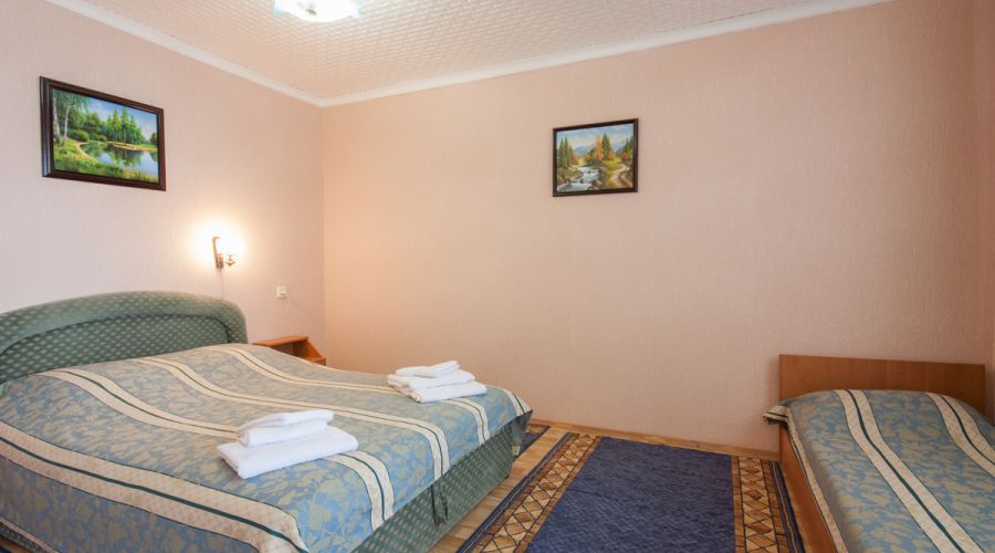 Стандарт 2-местный 