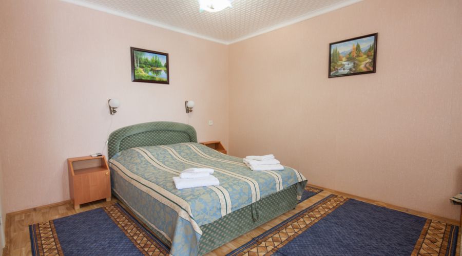 Стандарт 2-местный 