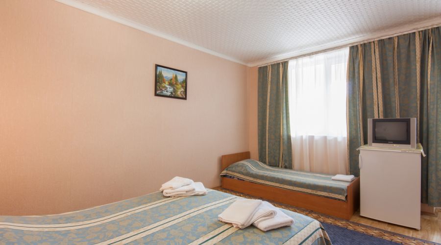 Стандарт 2-местный 