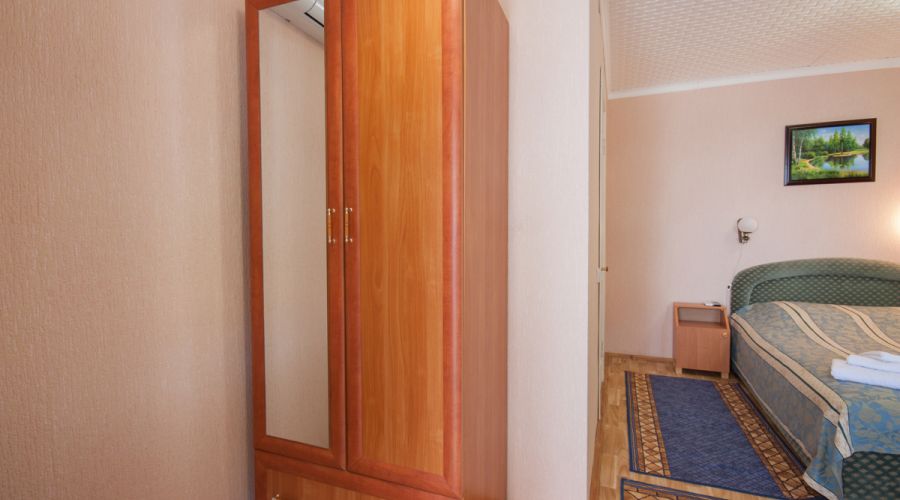 Стандарт 2-местный 