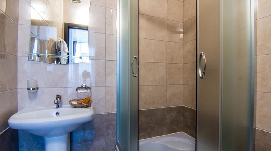 Полулюкс 2-местный 2-комнатный с террасой 4В