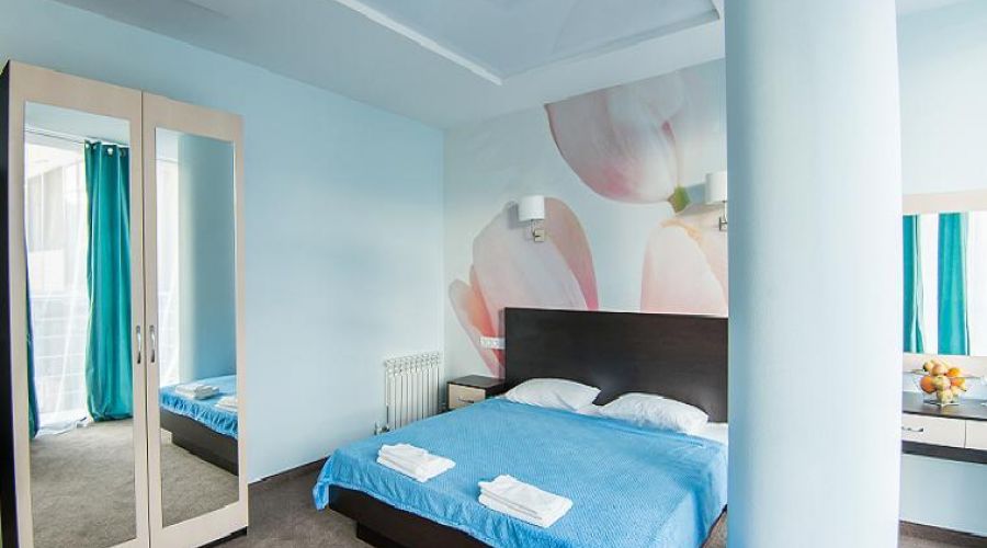 Полулюкс 2-местный 1-комнатный с французским балконом 4С,2В