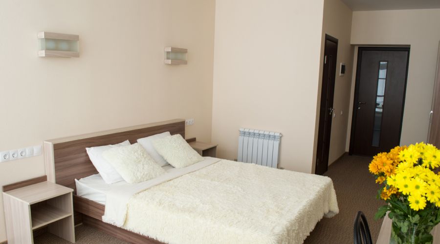 Стандарт 2-местный без балкона (вид на горы)