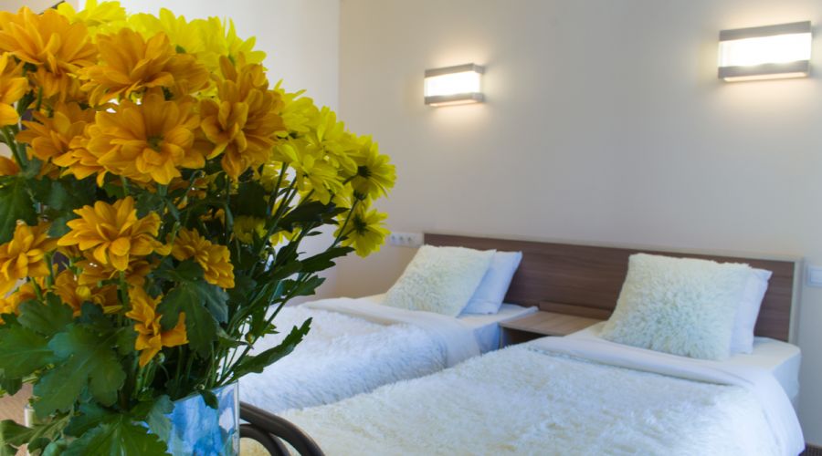 Комфорт 2-местный (без вида)