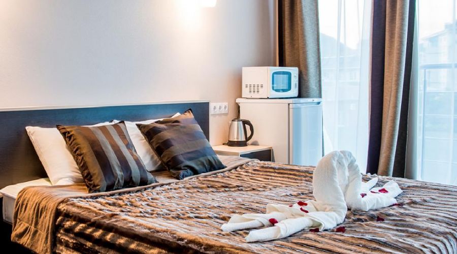 Полулюкс 2-местный 1-комнатный с террасой 3С,3В