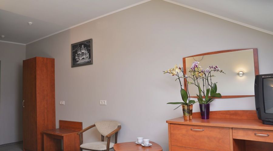 Стандарт 2-местный мансарда