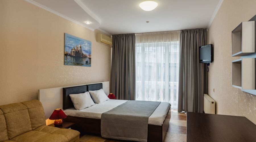 Стандарт 2-местный (вид на горы)