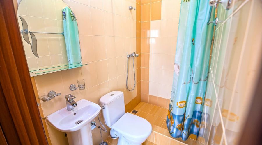 Стандарт 2-местный 1-комнатный