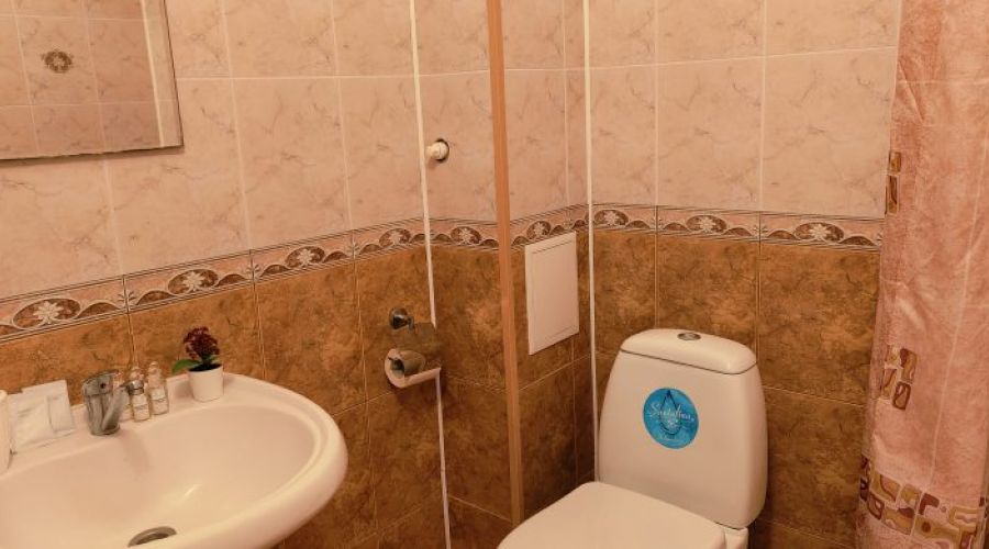 Бизнес  4-местный Бизнес с видом на бассейн