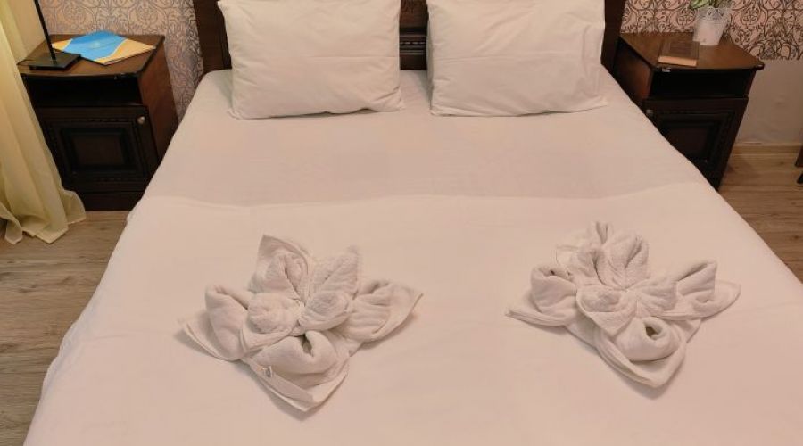 Бизнес  4-местный Бизнес с видом на бассейн