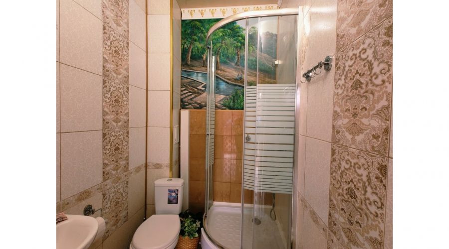 Полулюкс 4-местный Полулюкс с панорамным видом на колесо обозрения