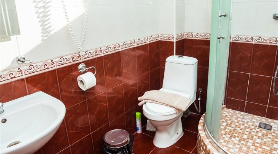 Стандарт 2-местный с доп.местом