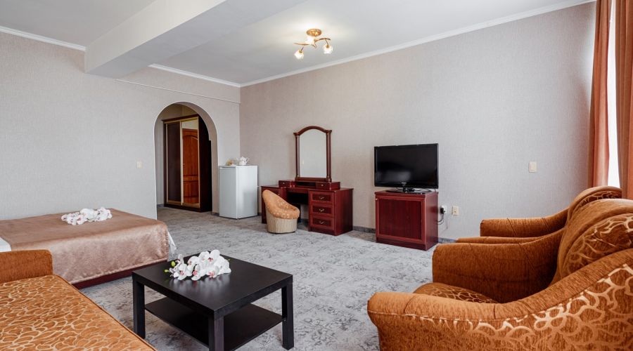 Полулюкс 2-местный