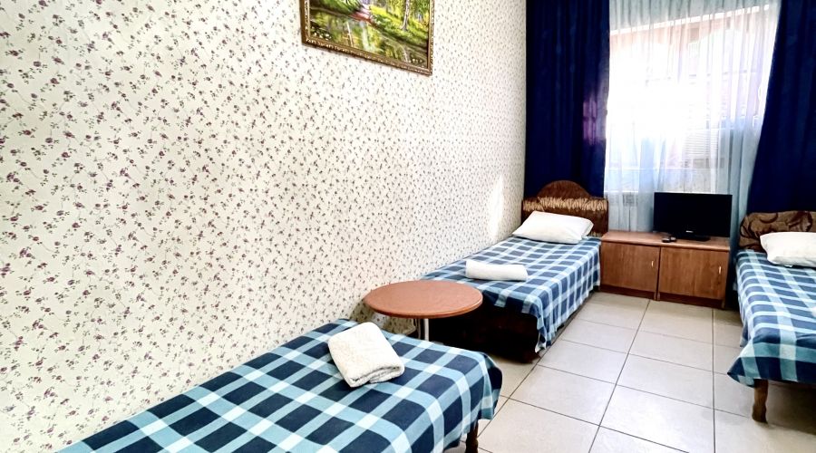 Эконом 3-местный с кондиционером