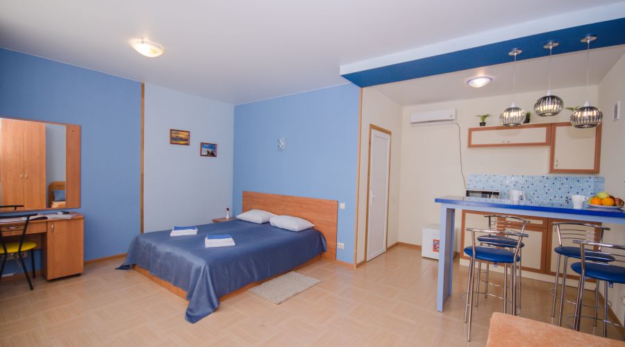 Студия 2-местный 1-комнатный с мини-кухней