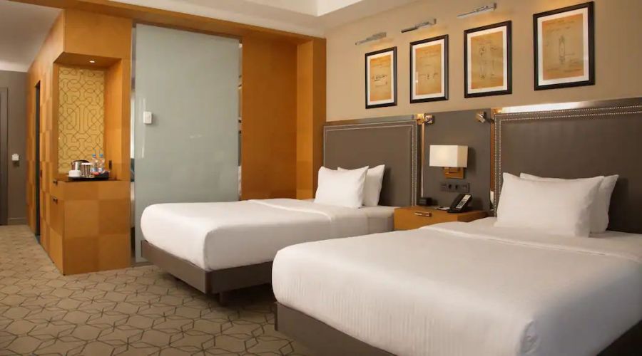 Делюкс 2-местный TWIN