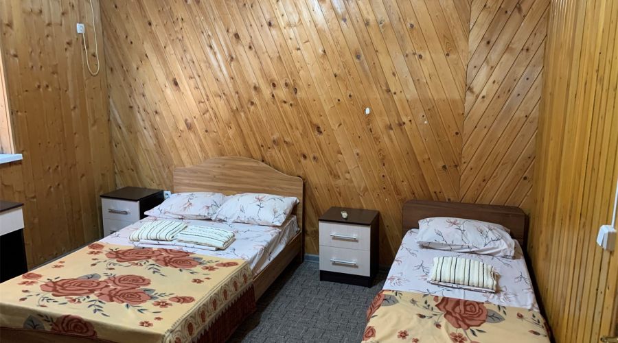 Семейный семейный 2х уровневый с кухней 