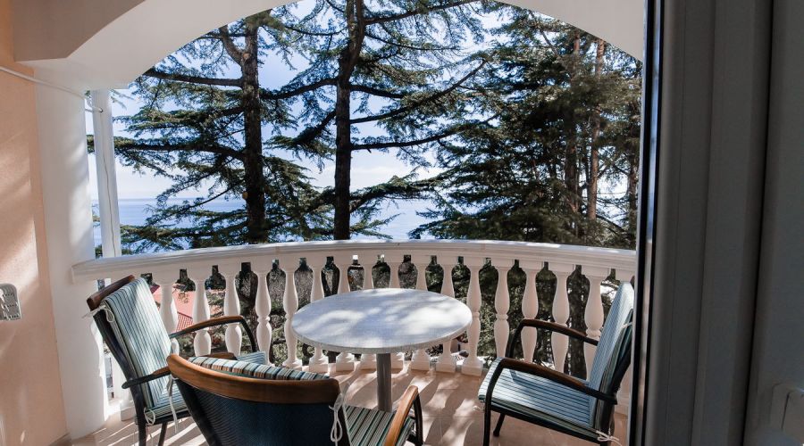 Полулюкс 2-местный 