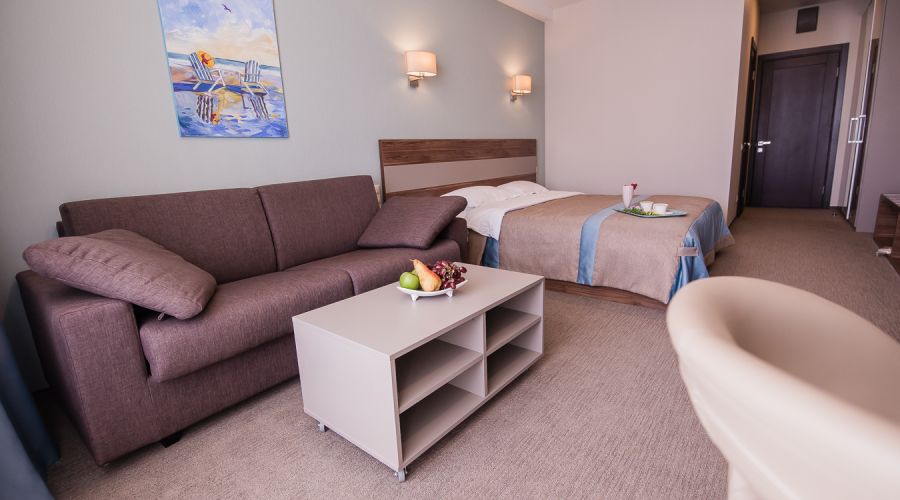 Полулюкс 2-местный 