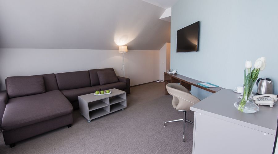 Люкс Терраса 2-местный 2-комнатный