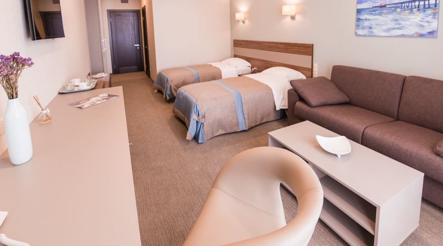 Полулюкс 2-местный 