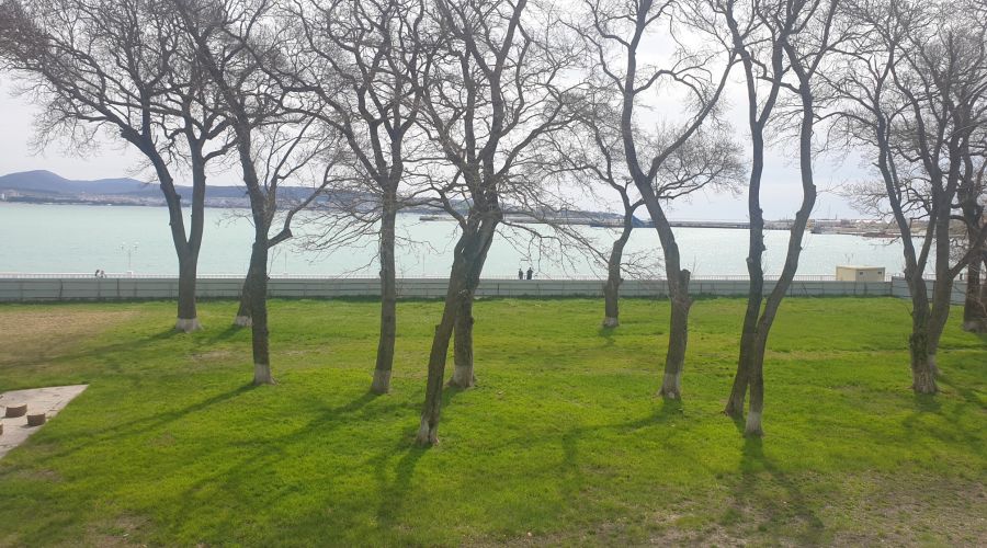 Делюкс Делюкс 2 мест с/б (море)