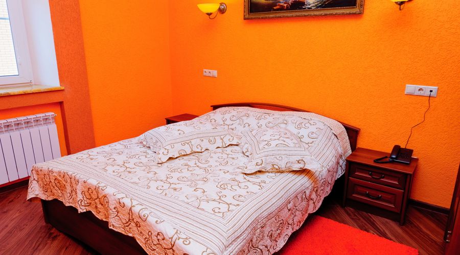 Люкс Люкс 2-комнатный 40 кв.м с большой кроватью и диваном в корпусе Е