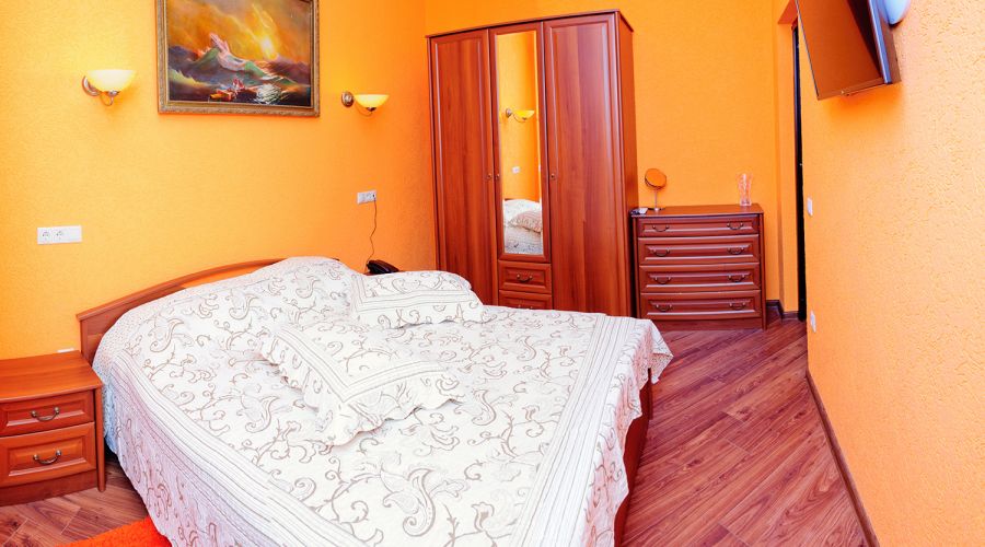 Люкс Люкс 2-комнатный 40 кв.м с большой кроватью и диваном в корпусе Е