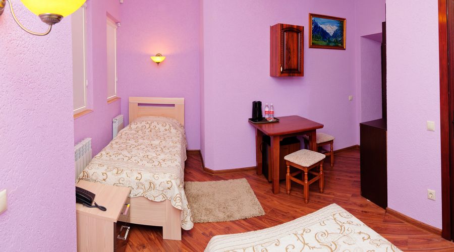 Стандартный 1-комнатный с 2-мя раздельными кроватями в корп.Е