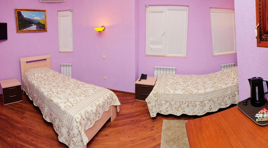 Стандартный 1-комнатный с 2-мя раздельными кроватями в корп.Е