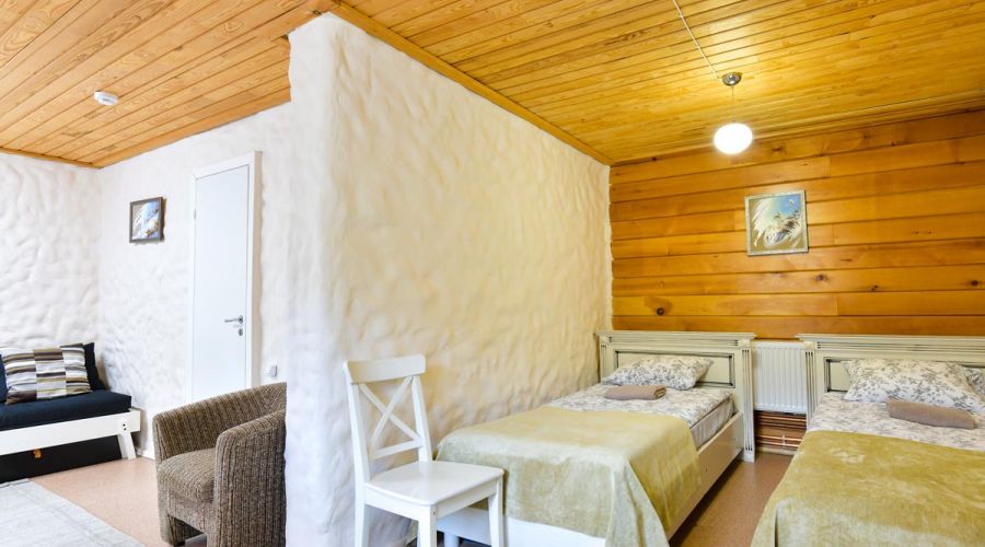 Номер 1 комнатный (отель "Таежный" заимка 1)