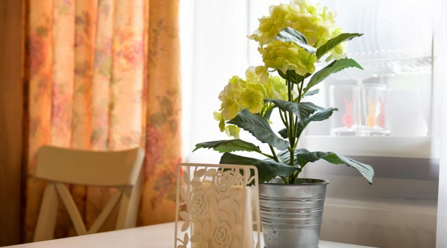 Номер 1 комнатный (отель "Таежный" заимка 1)