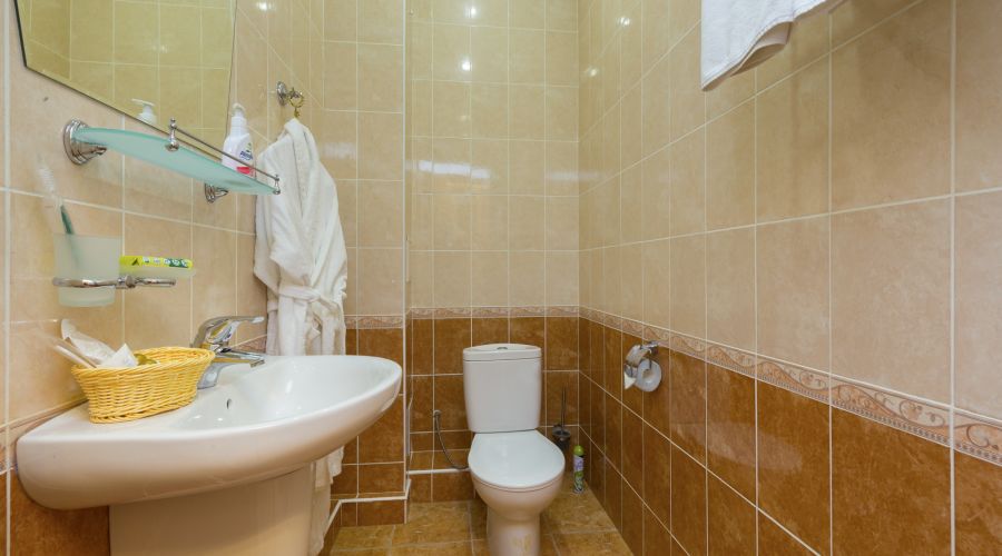 Джуниор сюит 2-местный 1-комнатный №204