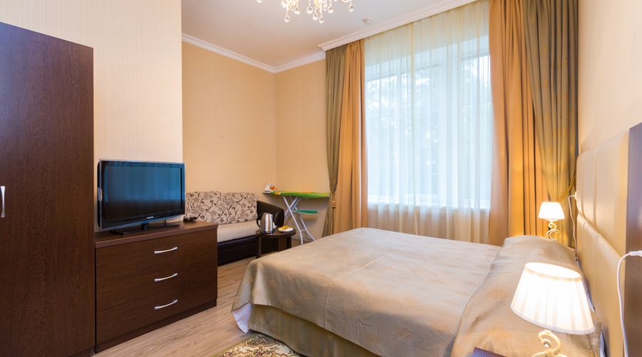 Джуниор сюит 2-местный 1-комнатный №204