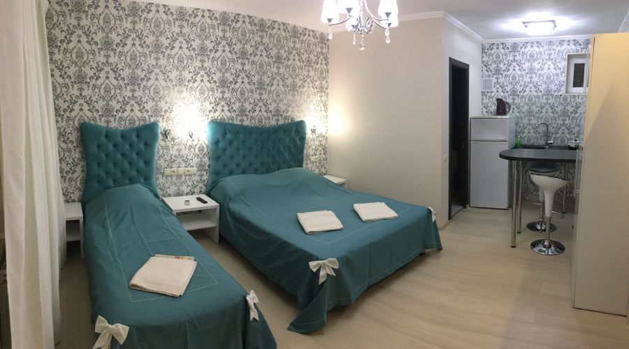 Делюкс 3-местный 1-комнатный с кухней