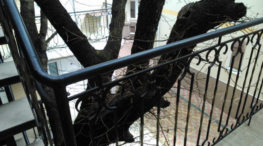 Улучшенный 2-местный стандарт №1,6