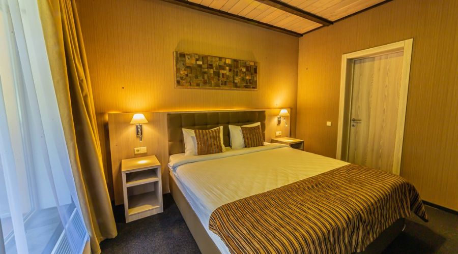 Премиум 1-комнатный номер Делюкс Премиум