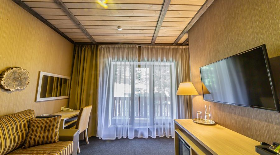 Премиум 1-комнатный номер Делюкс Премиум