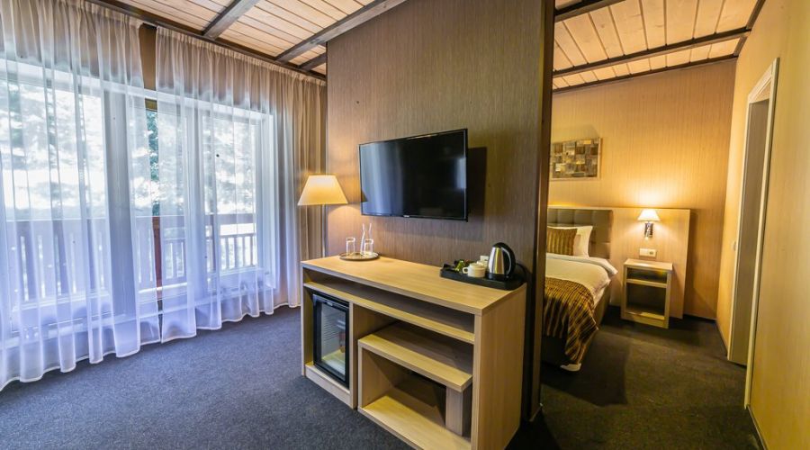 Премиум 1-комнатный номер Делюкс Премиум