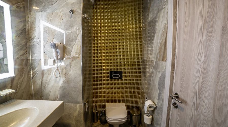 Премиум 1-комнатный номер Делюкс Премиум