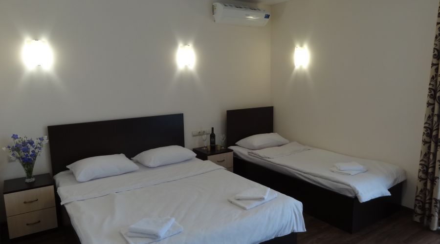 Делюкс 4-местный 1-комнатный с балконом 